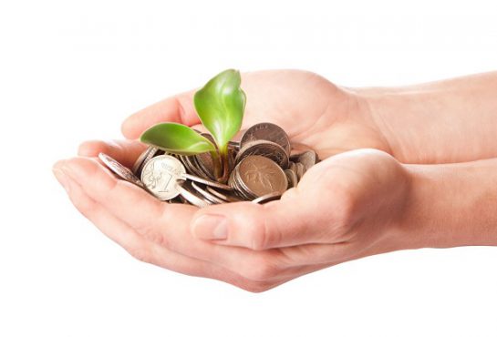 Hands holding coins and a plant